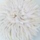 Jujuhat blanc 55 cm