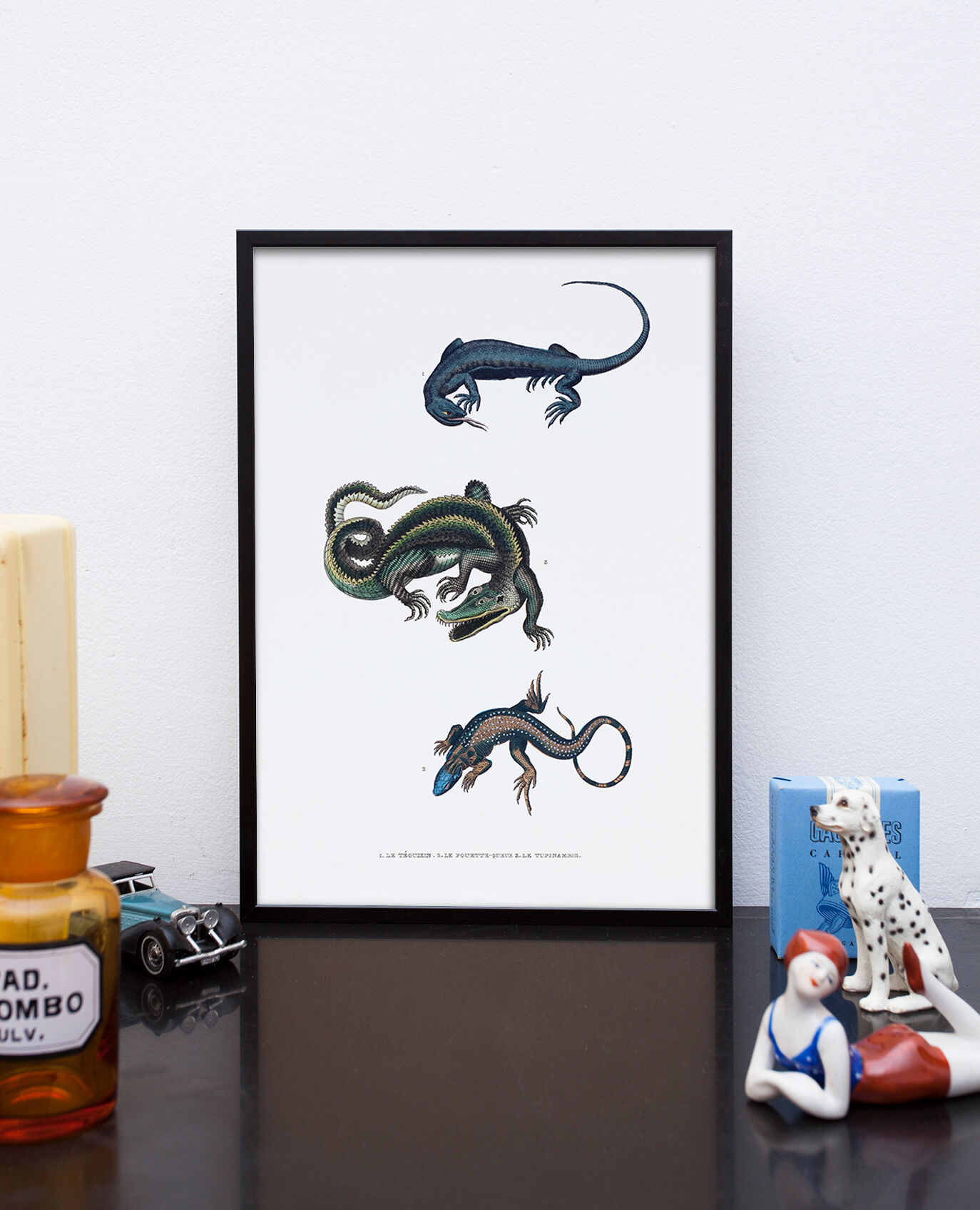 Lithography engraving vintage fantastic animals - Buffon 1835