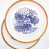 Set of 4 plates La Colombe with country and naive decorations