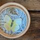 Vintage bamboo tray + 6 butterfly coasters from the 70s