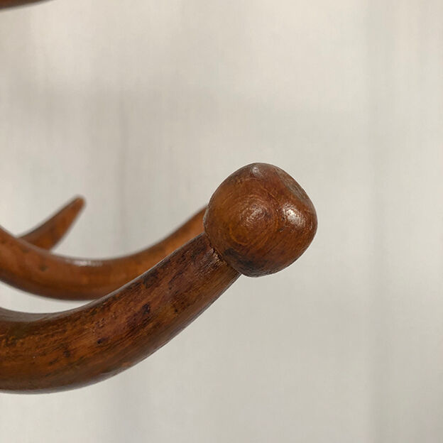 Parrot coat rack in bentwood