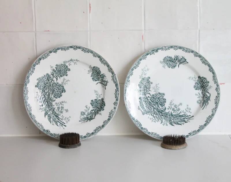 Antique flower plates DAISY St Amand x 2