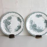 Antique flower plates DAISY St Amand x 2