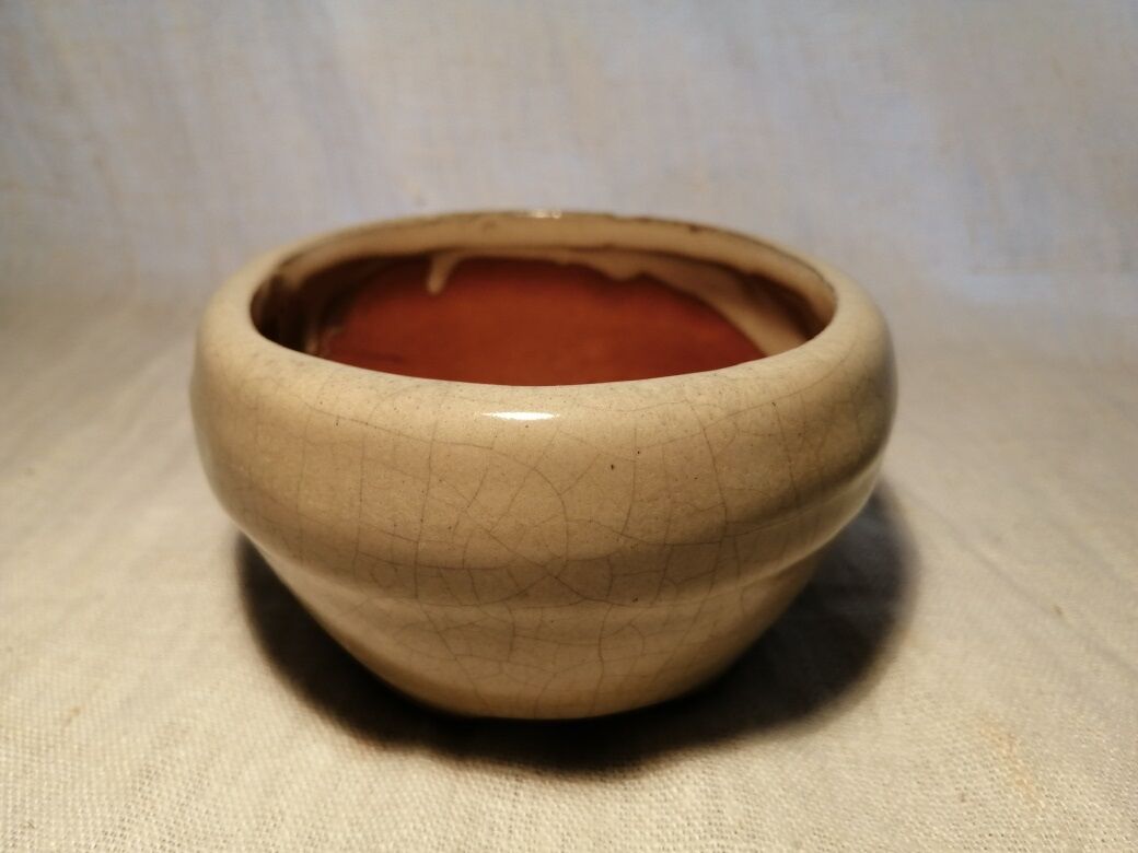 Bonzai Enameled Terracotta Pot Indoor Plant