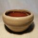 Bonzai Enameled Terracotta Pot Indoor Plant