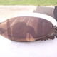 Mirror 19th wood and stuk golden oval 97x62cm