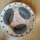 Enamelled ceramic dish by Albert Thiry in Vallauris