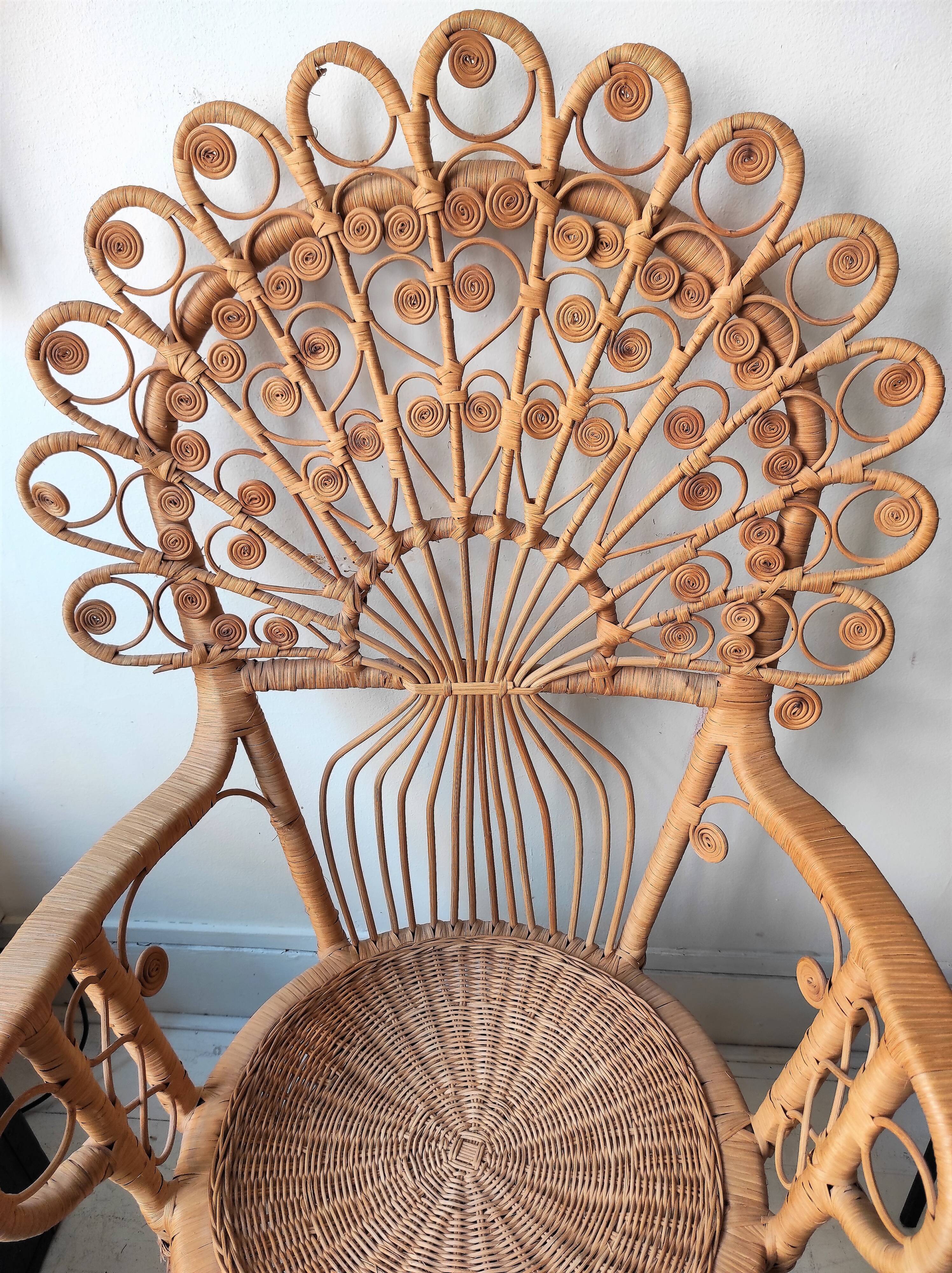 Peacock Chair