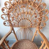 Peacock Chair