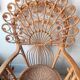 Peacock Chair