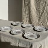 Set of 6 vintage dessert plates made in Poland with a plant motif.