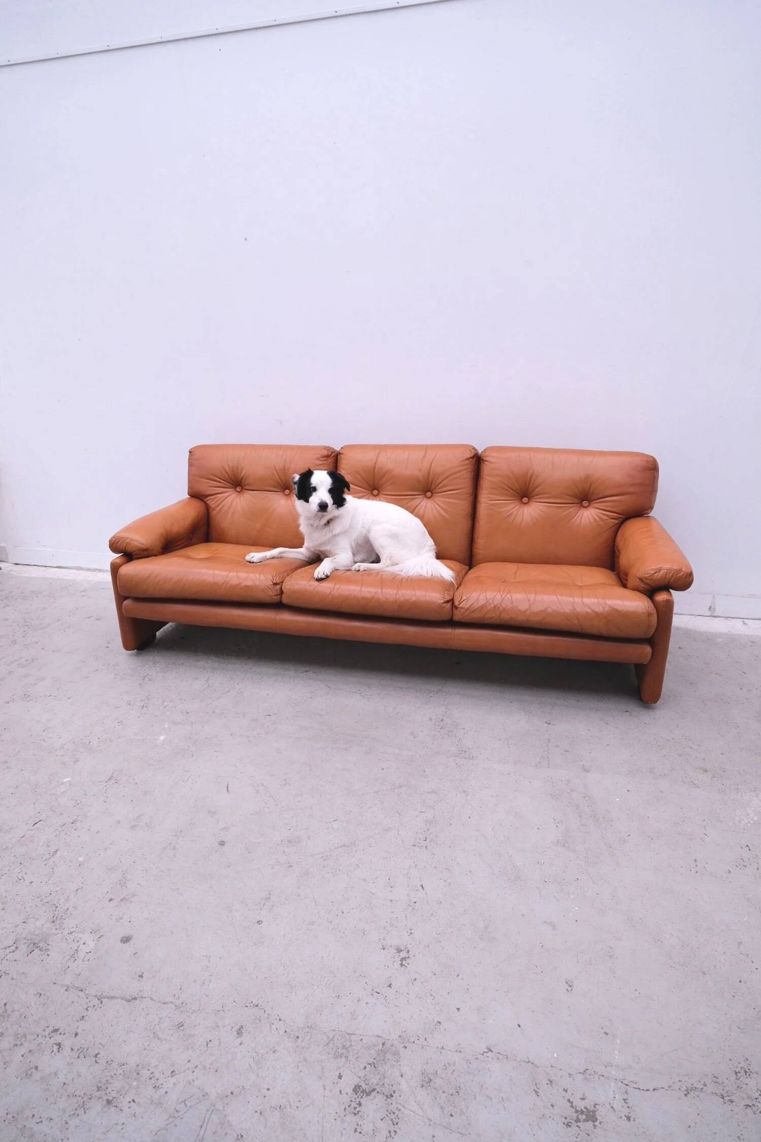 “Coronado” sofa by Afra & Tobia Scarpa for B&B Italia, Italy 1970