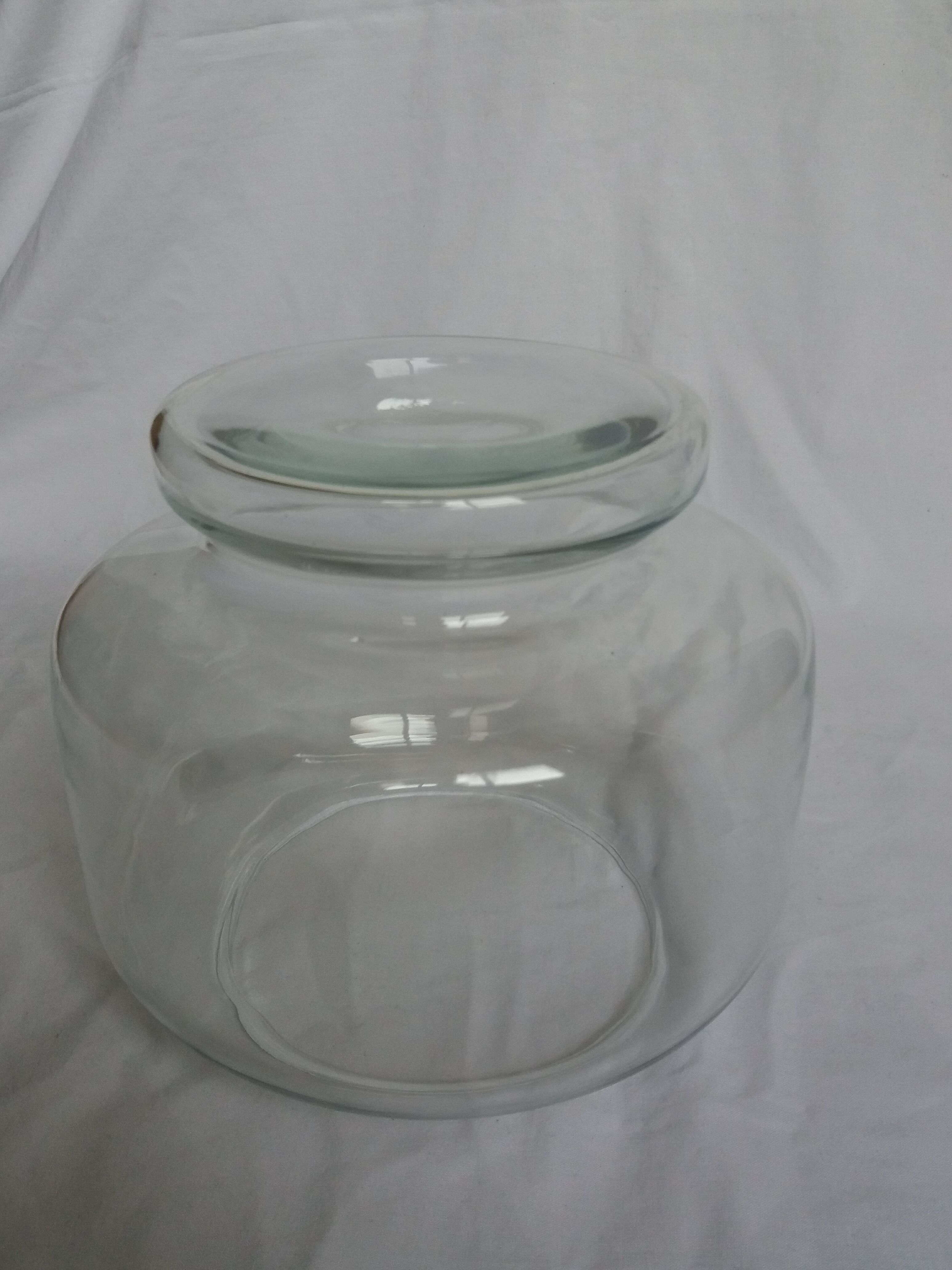 Glass indoor garden terrarium vase