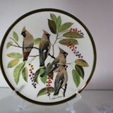 12 assiettes "oiseaux chanteurs du monde", Franklin Wedgwood Singer Arthur 1977