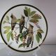 Franklin Wedgwood Singer Arthur plates 1977 x12 "songbirds of the world"