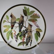 Franklin Wedgwood Singer Arthur plates 1977 x12 "songbirds of the world"