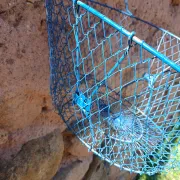 Grand panier de pêche ou récolte ancien 