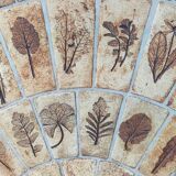 Roger Capron Vallauris ceramic coffee table herbarium decor