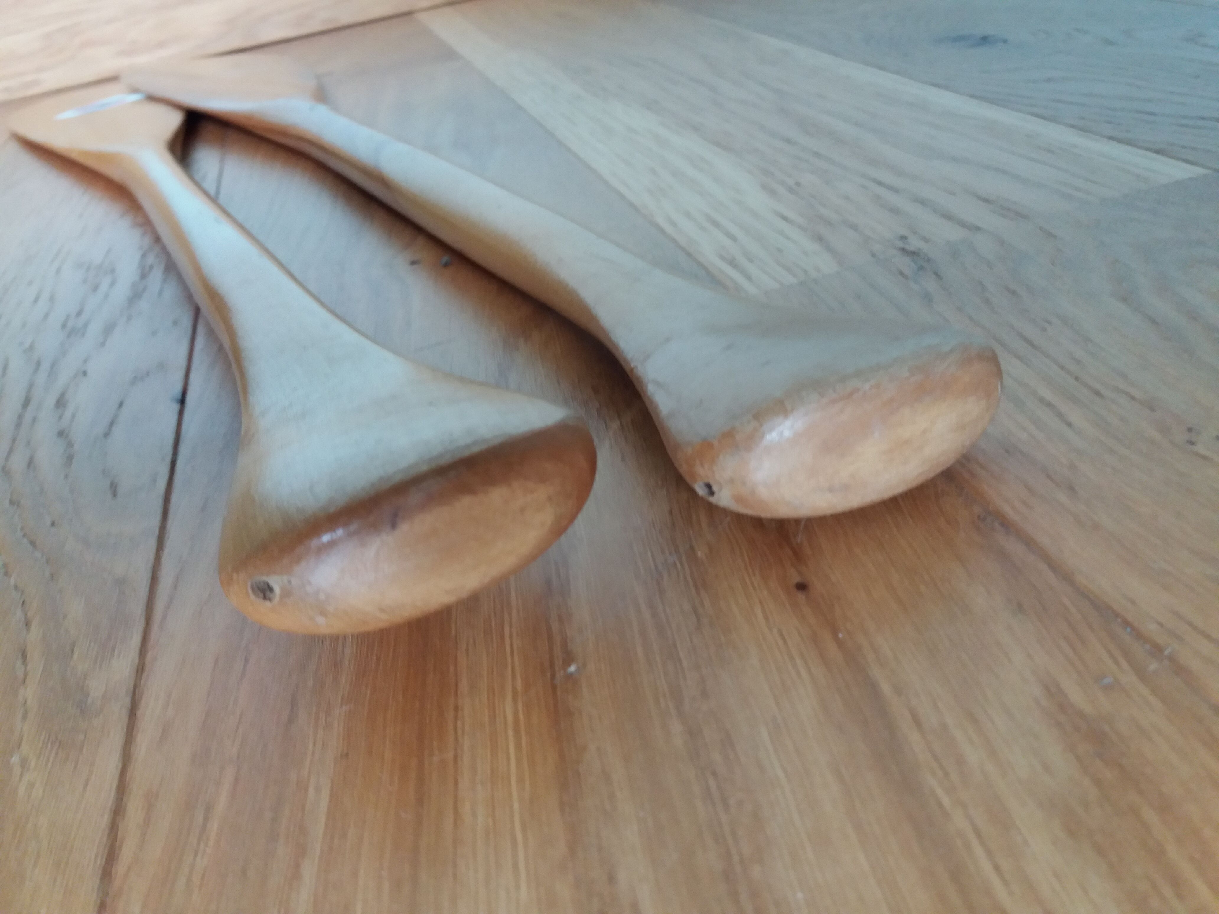 Paddles Native American rows