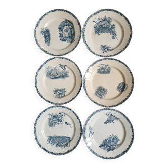 Set of 6 pexonne plates