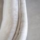 Grey velvet buttoned sofa by Levi's Mobelafarr