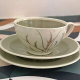 Tea cup by Susie Cooper hand painted