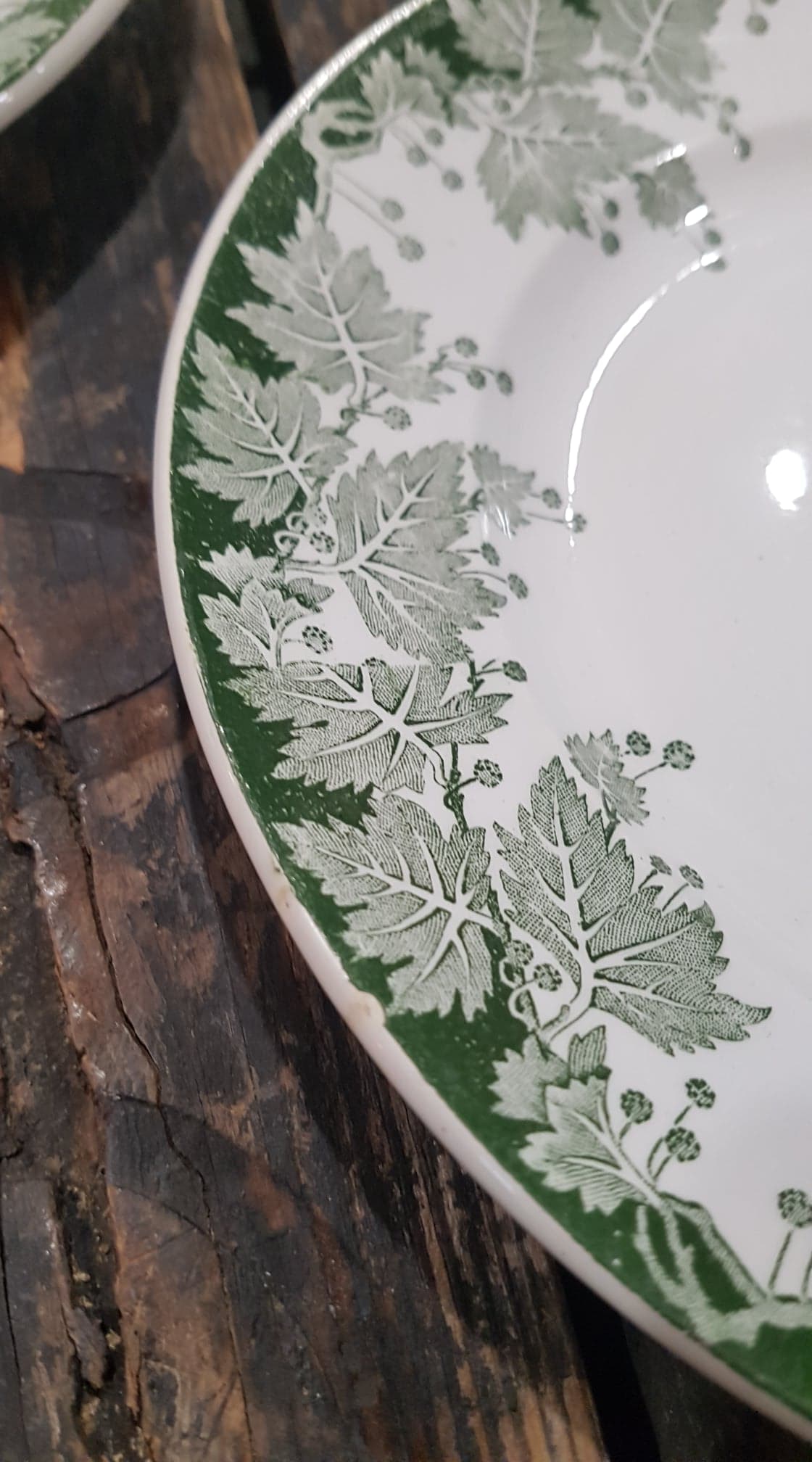 Lot of 6 plates Saint-Amand and Hamage model Platane