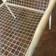 Vintage armchair emu rio 1960-1980's
