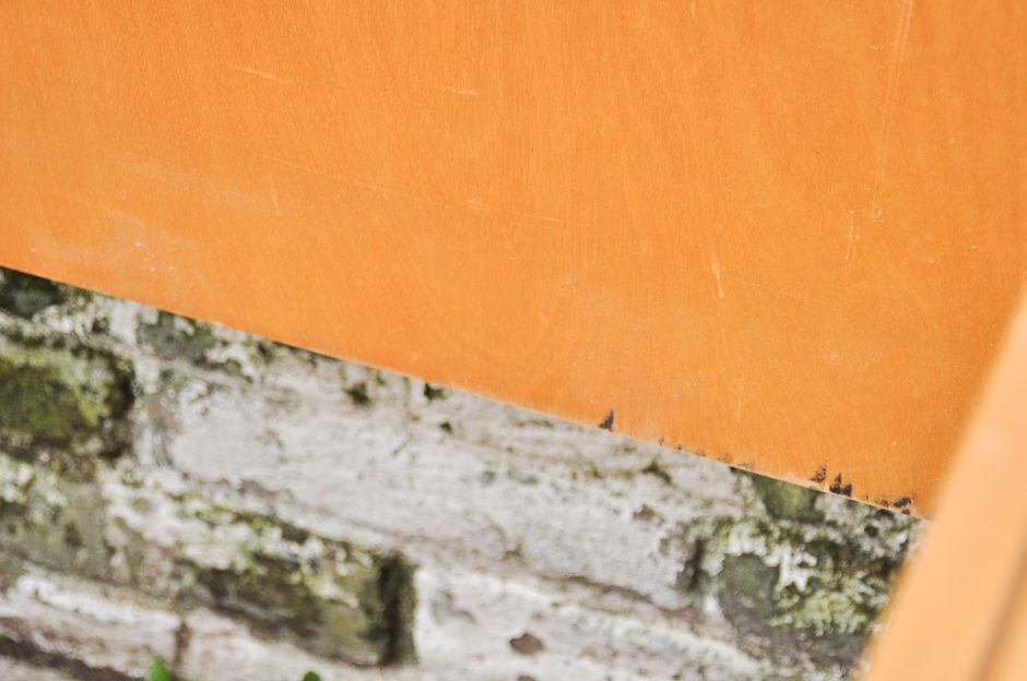 Bed Cees Braakman for Pastoe