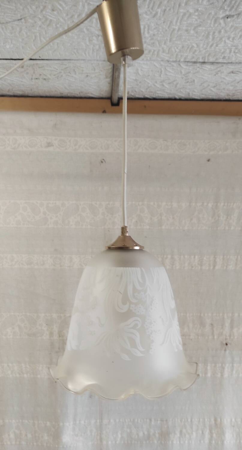 Suspension style Art Nouveau glass globe with screen-printed floral pattern.