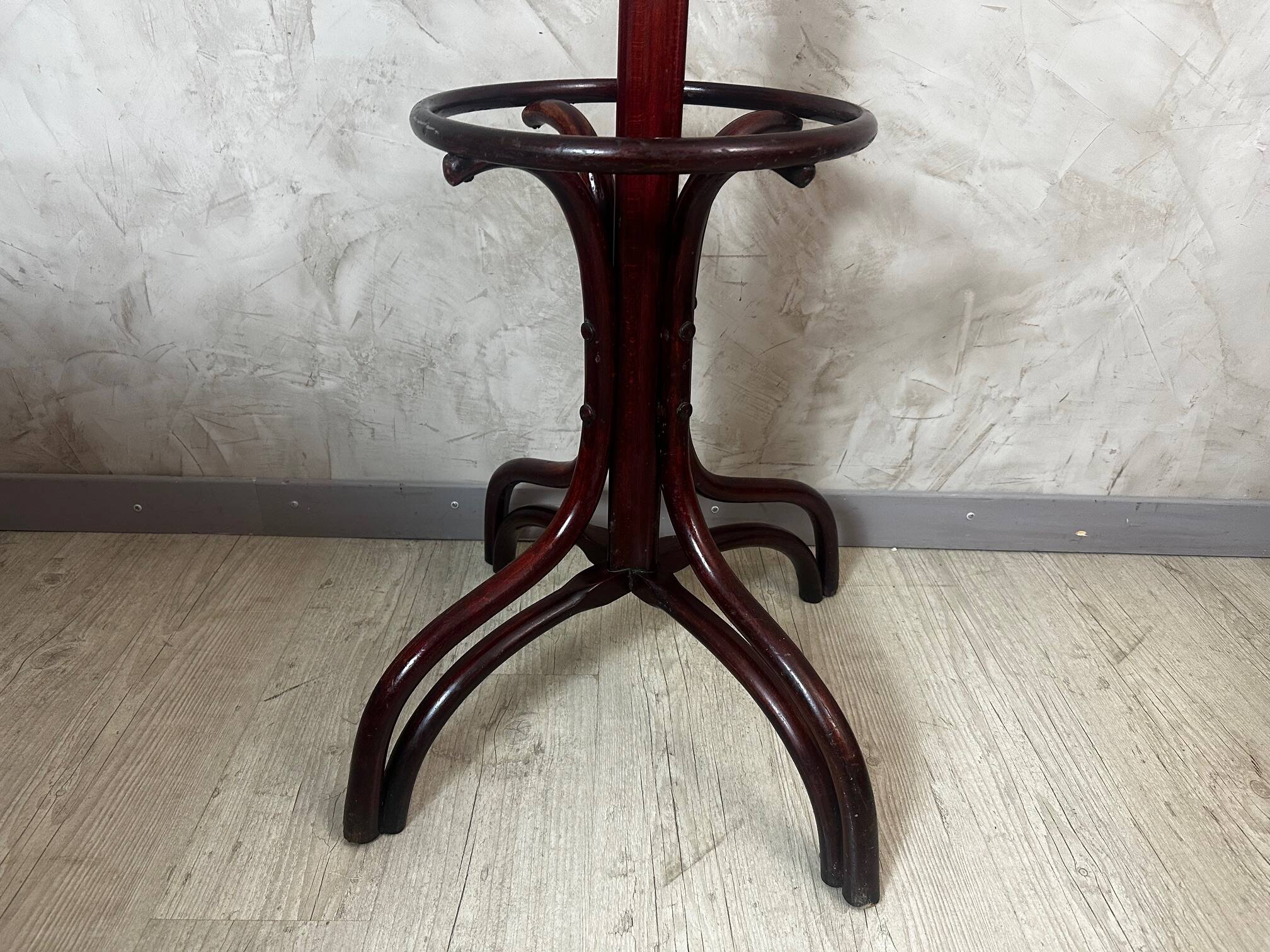 Parrot in the Thonet style
