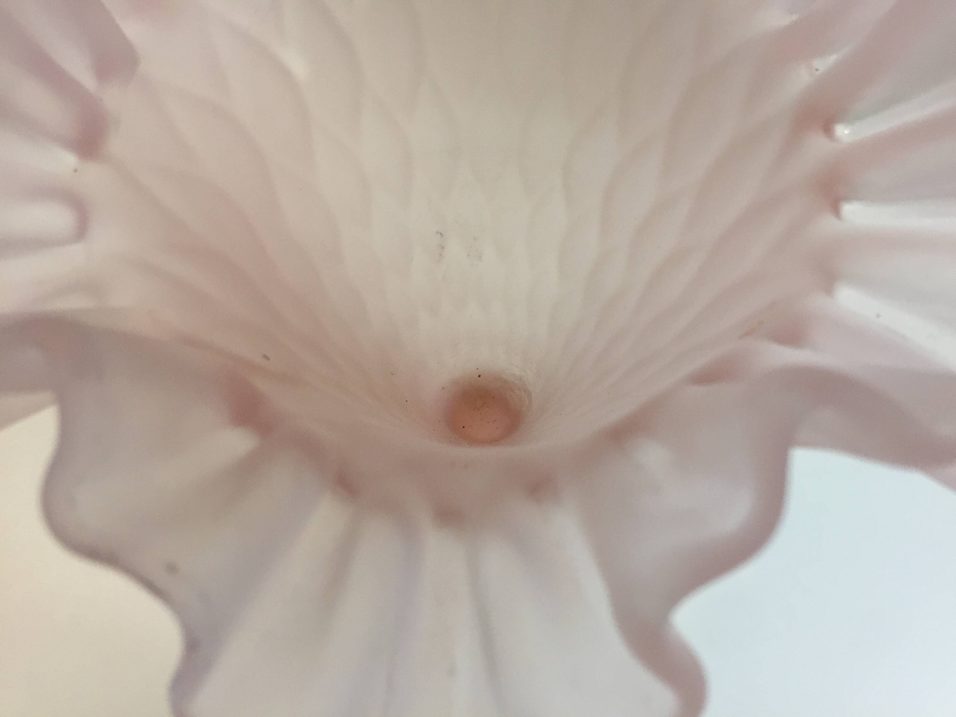 Old Corolle Vase in Pink Frosted Glass Vintage Italian Work Murano Empoli ??