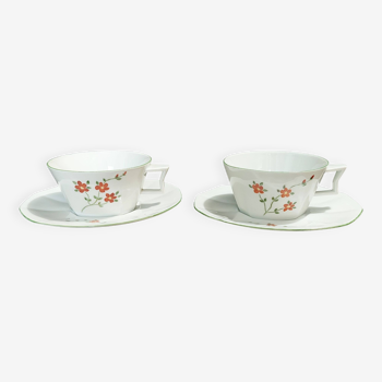 Paire de tasses à thé en porcelaine marque à identifier décoré main XXème