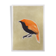 Oiseau "Gregori" - Dessin original