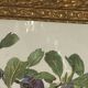 Botanical poster, Prunus Domestica, framed in glass wood.