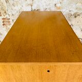 Vintage storage cabinet 50s /60