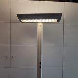 Radian industrial floor lamp