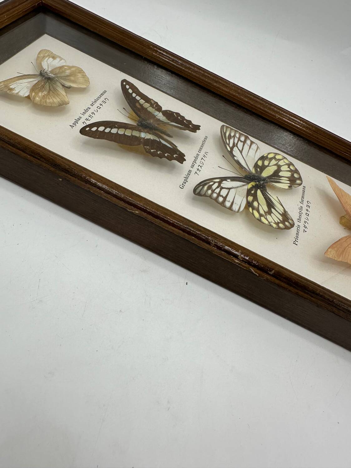 Neutralized butterfly frame