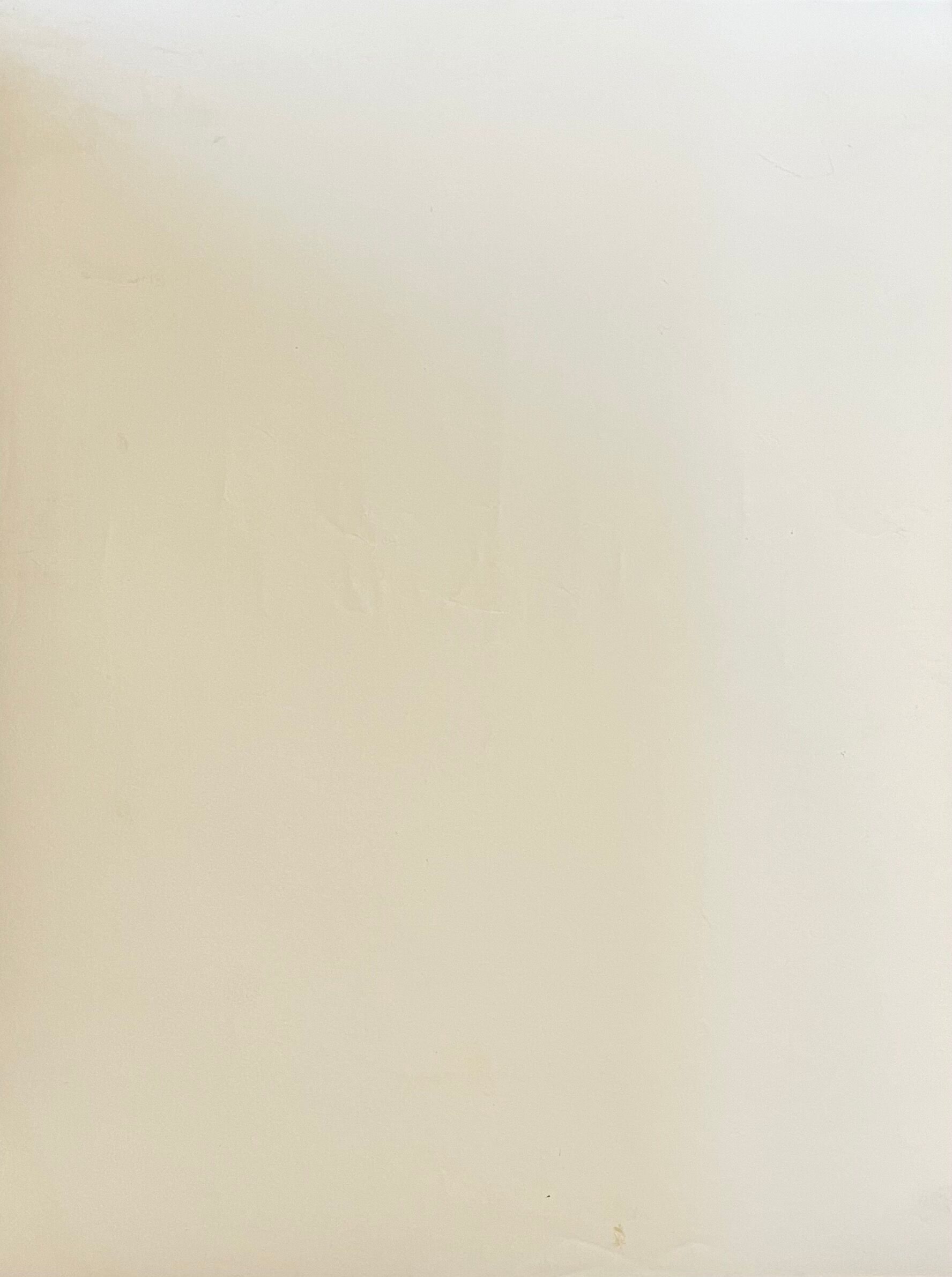 Photograph black and white silver print circa 1970