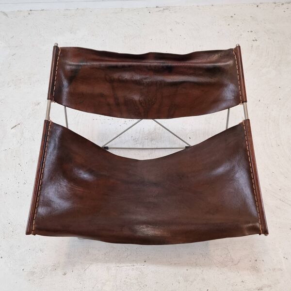 F675 Butterfly Chair by Pierre Paulin for Artifort, 1960s