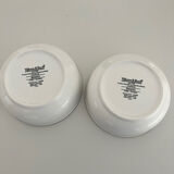 2 bowls Villeroy & Boch Botanica