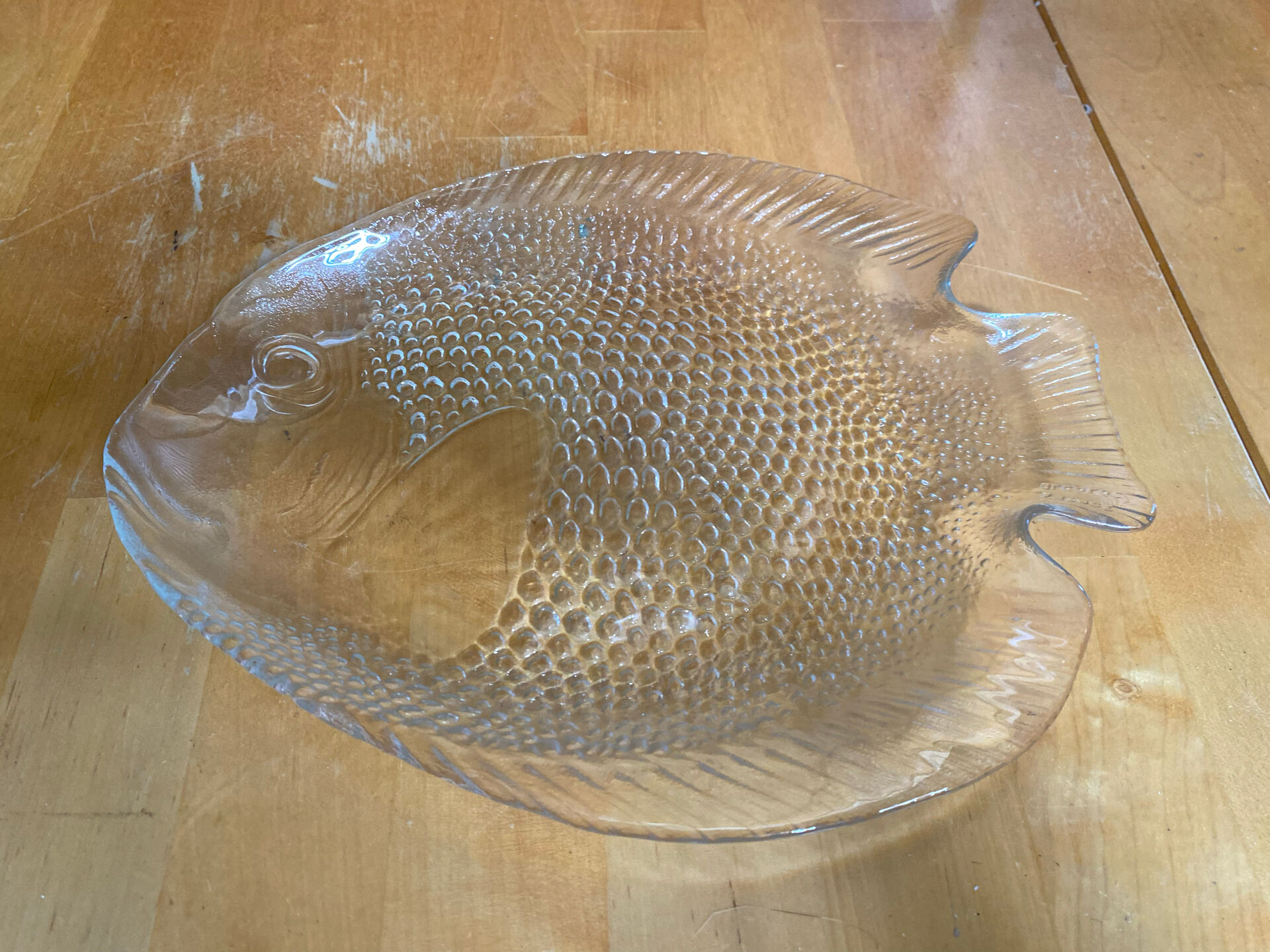 Plate + 5 ARCOROC Fish Shape Glass Mould Plates + Vintage Box #