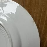 Mismatched dinner plates