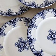 6 antique flat plates, Bordeaux (Jules Vieillard) and Longwy earthenware