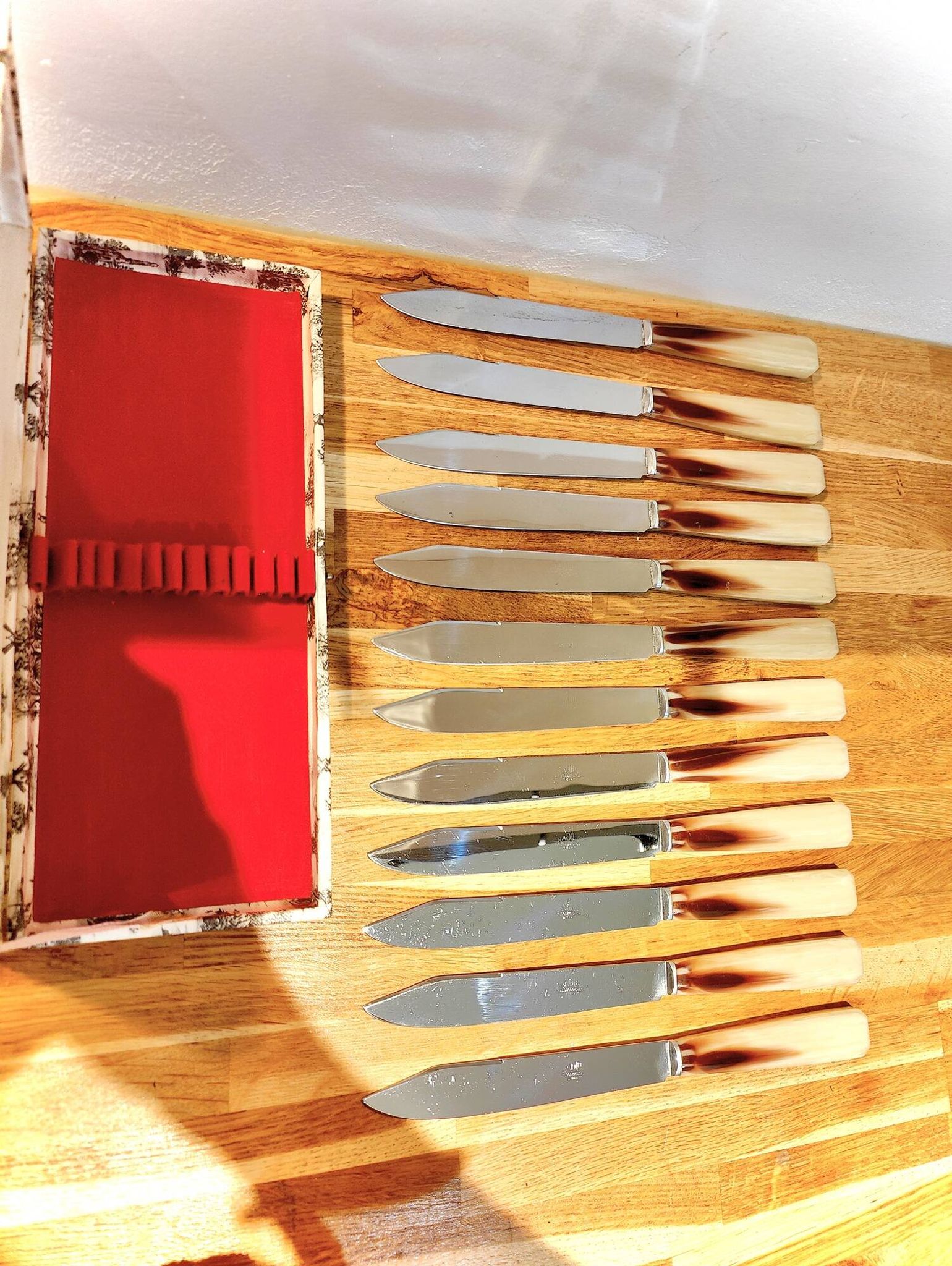 Set of 12 radium table knives in horn
