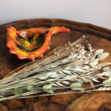 Orange Vallauris cup