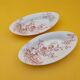 2 dishes Choisy le Roi Avellan Boulenger ironstone red floral decoration