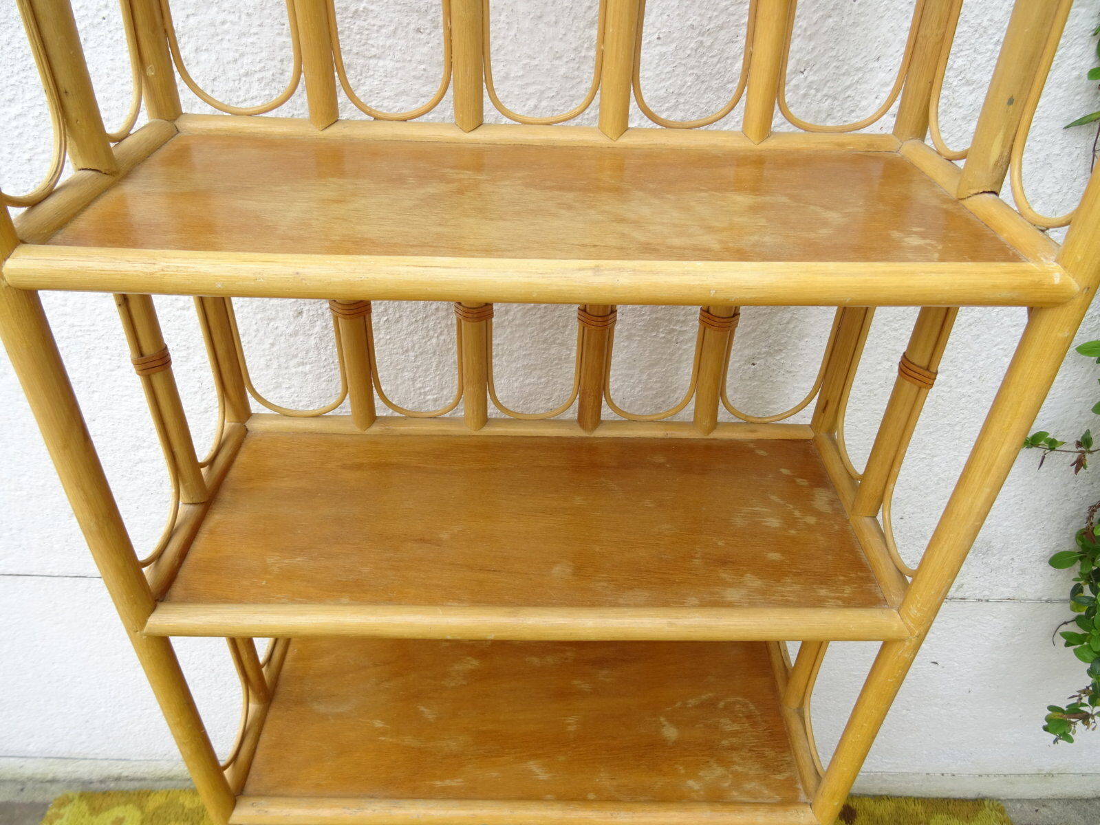 Canning rattan