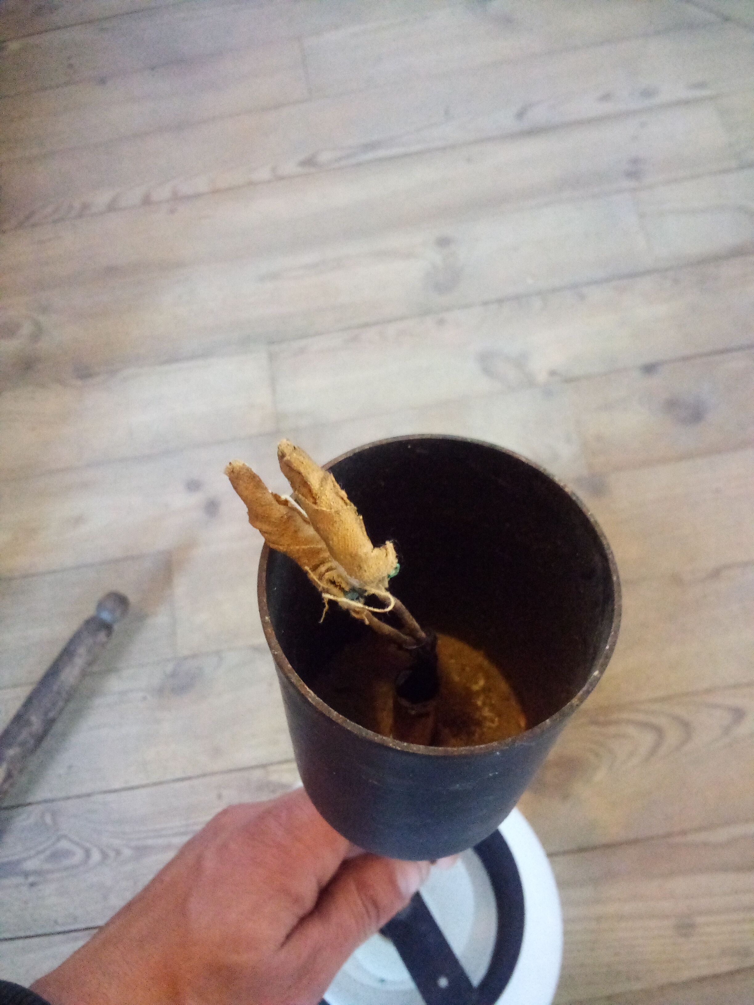 Hanging lamp years 50