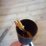 Hanging lamp years 50